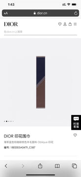 China Replica Dior Scarf 70usd Only